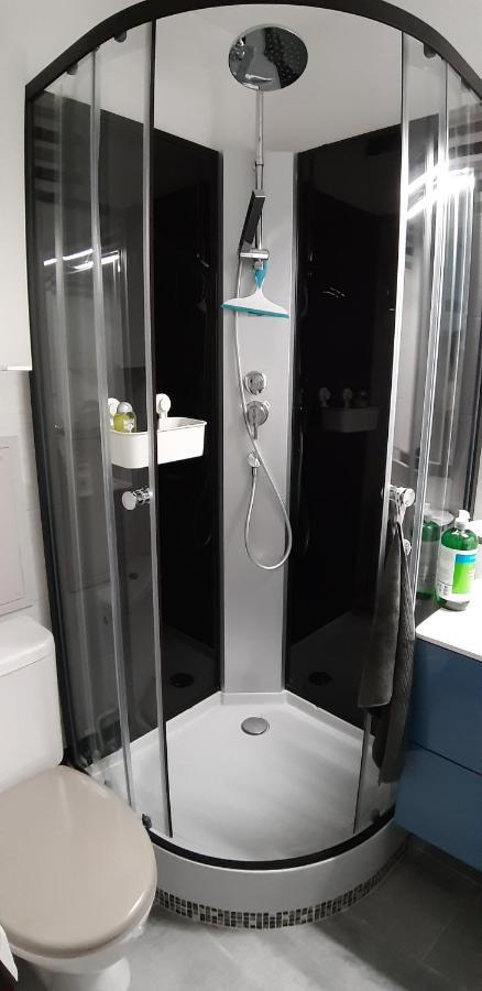 Appartement 2 Min A Pied De La Mer Et Du Centre Ville Сен-Жорж-дьо-Дидон Екстериор снимка
